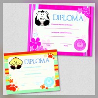 Borlitas Certificate